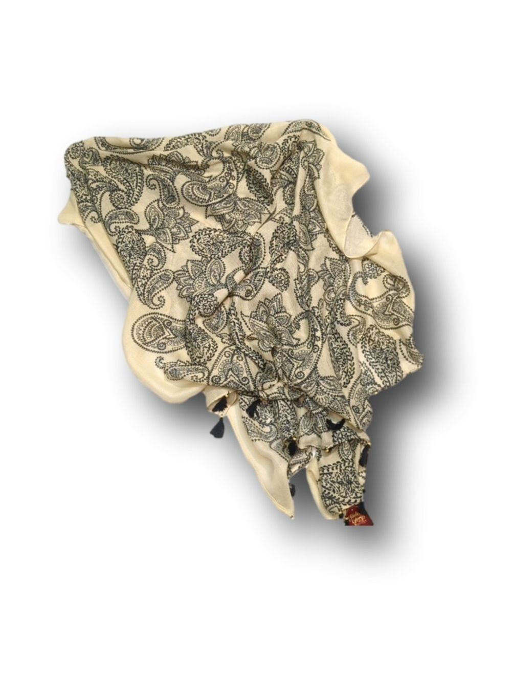 Oversized scarf with Paisley print and tassel detail tags included